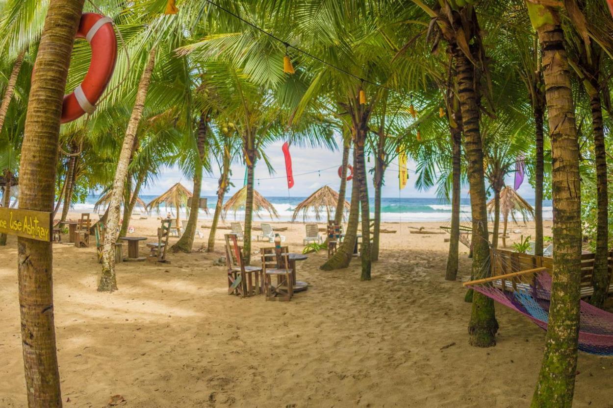 Playa 506 Beachfront Hostel Puerto Viejo de Talamanca Zewnętrze zdjęcie
