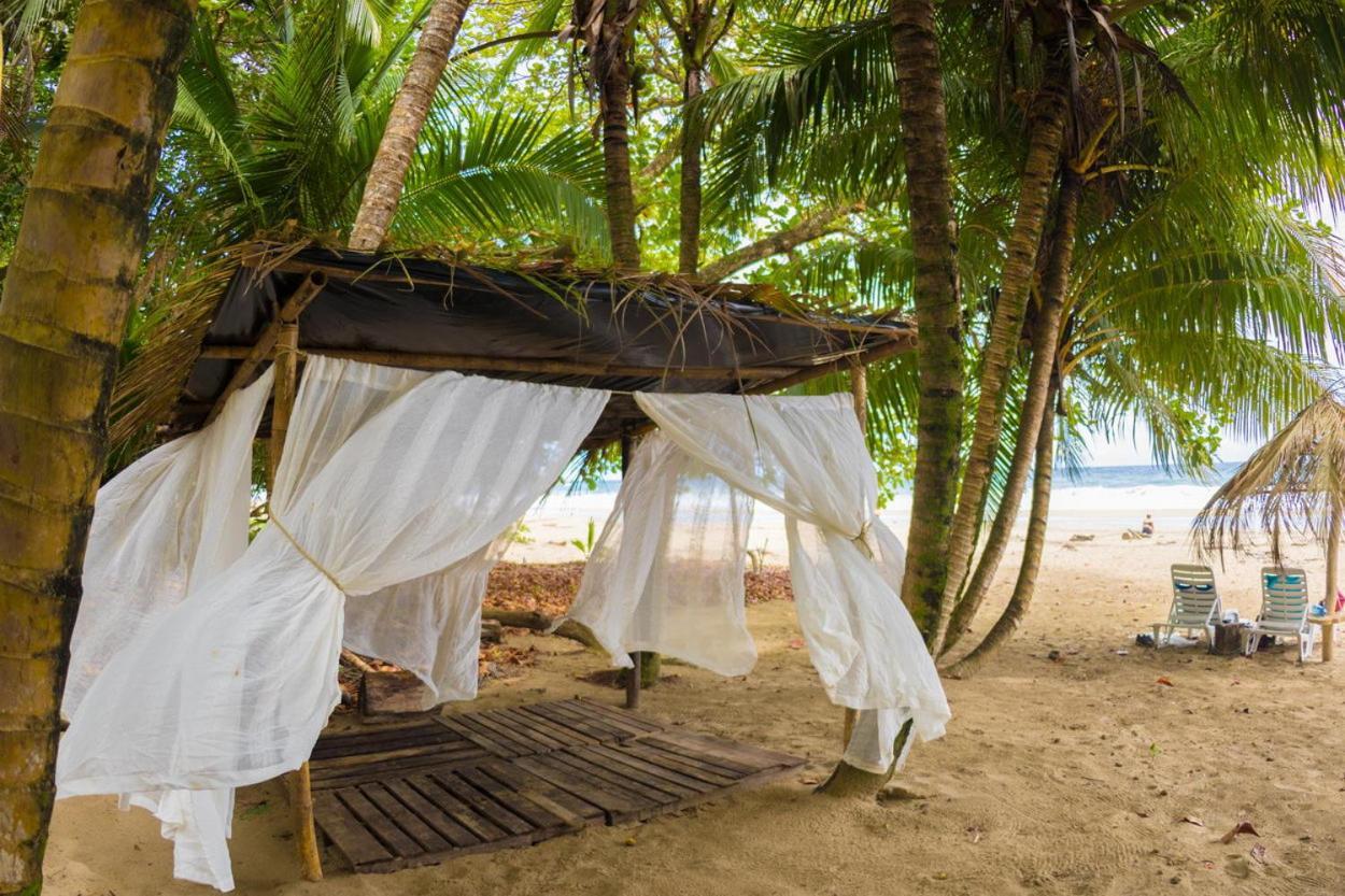 Playa 506 Beachfront Hostel Puerto Viejo de Talamanca Zewnętrze zdjęcie