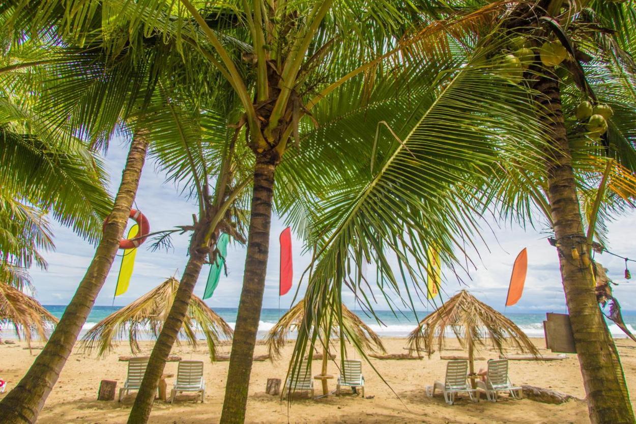 Playa 506 Beachfront Hostel Puerto Viejo de Talamanca Zewnętrze zdjęcie