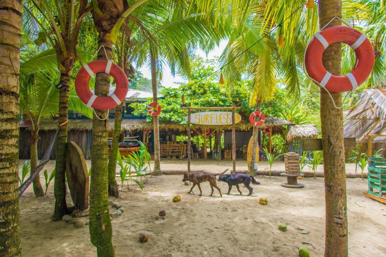 Playa 506 Beachfront Hostel Puerto Viejo de Talamanca Zewnętrze zdjęcie
