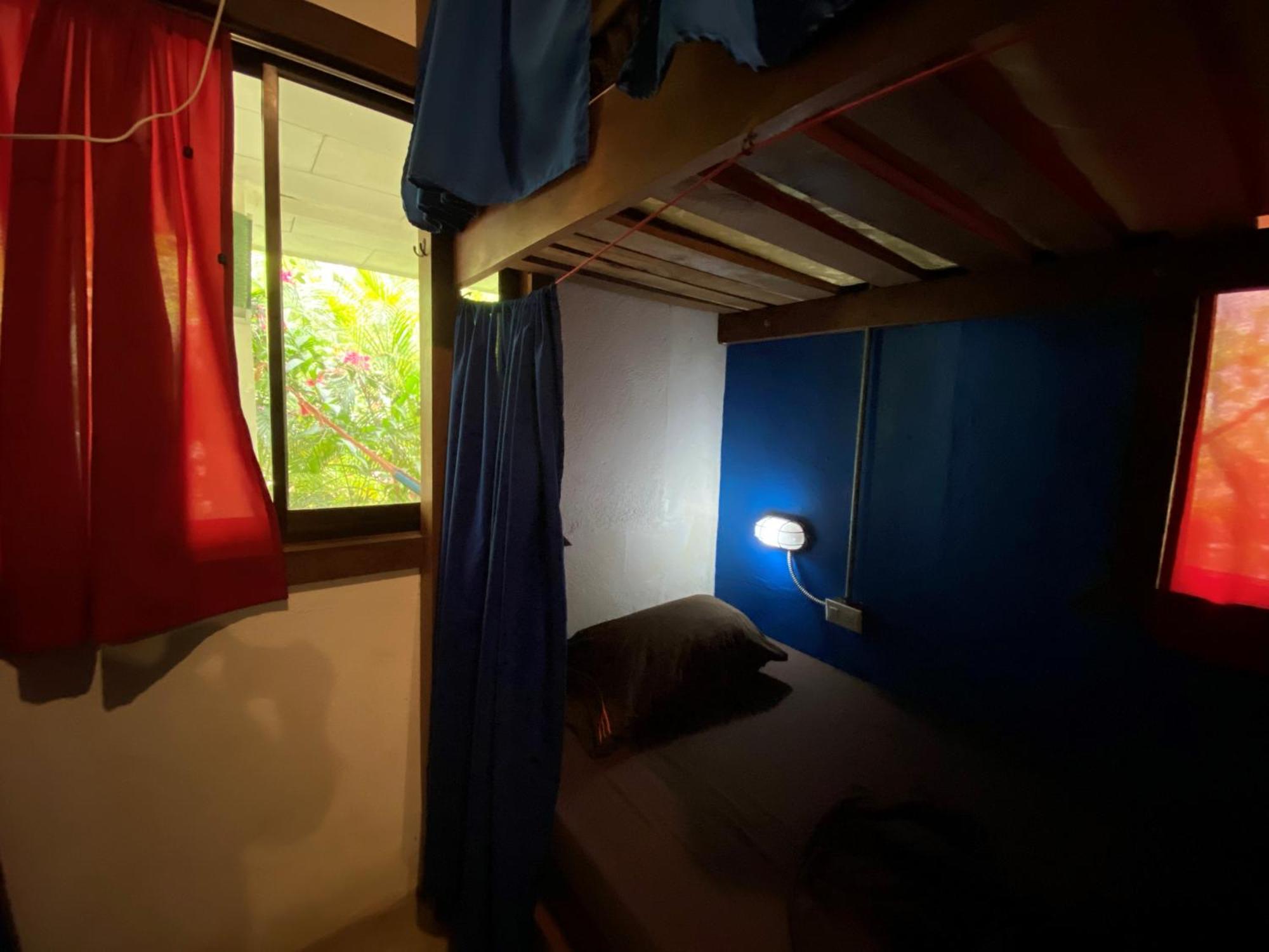 Playa 506 Beachfront Hostel Puerto Viejo de Talamanca Pokój zdjęcie