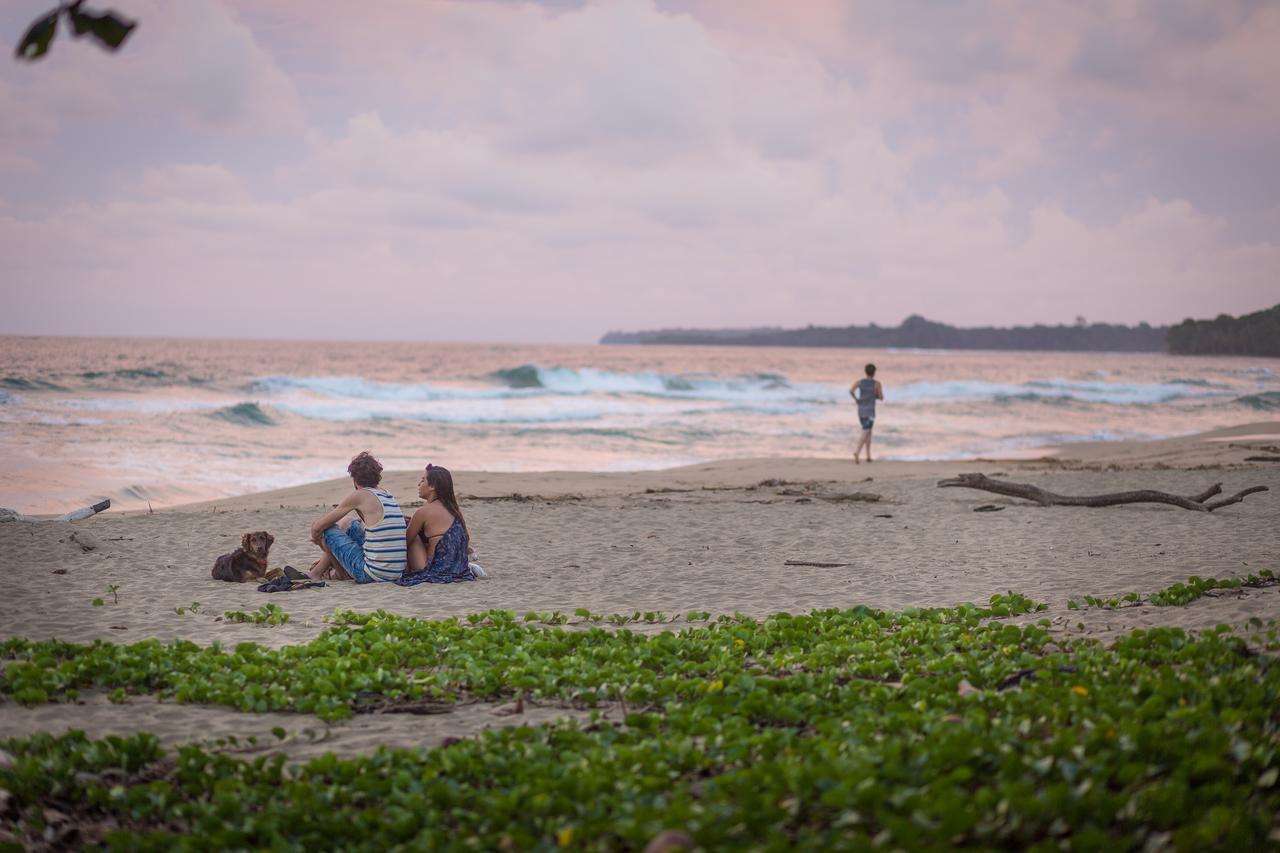 Playa 506 Beachfront Hostel Puerto Viejo de Talamanca Zewnętrze zdjęcie