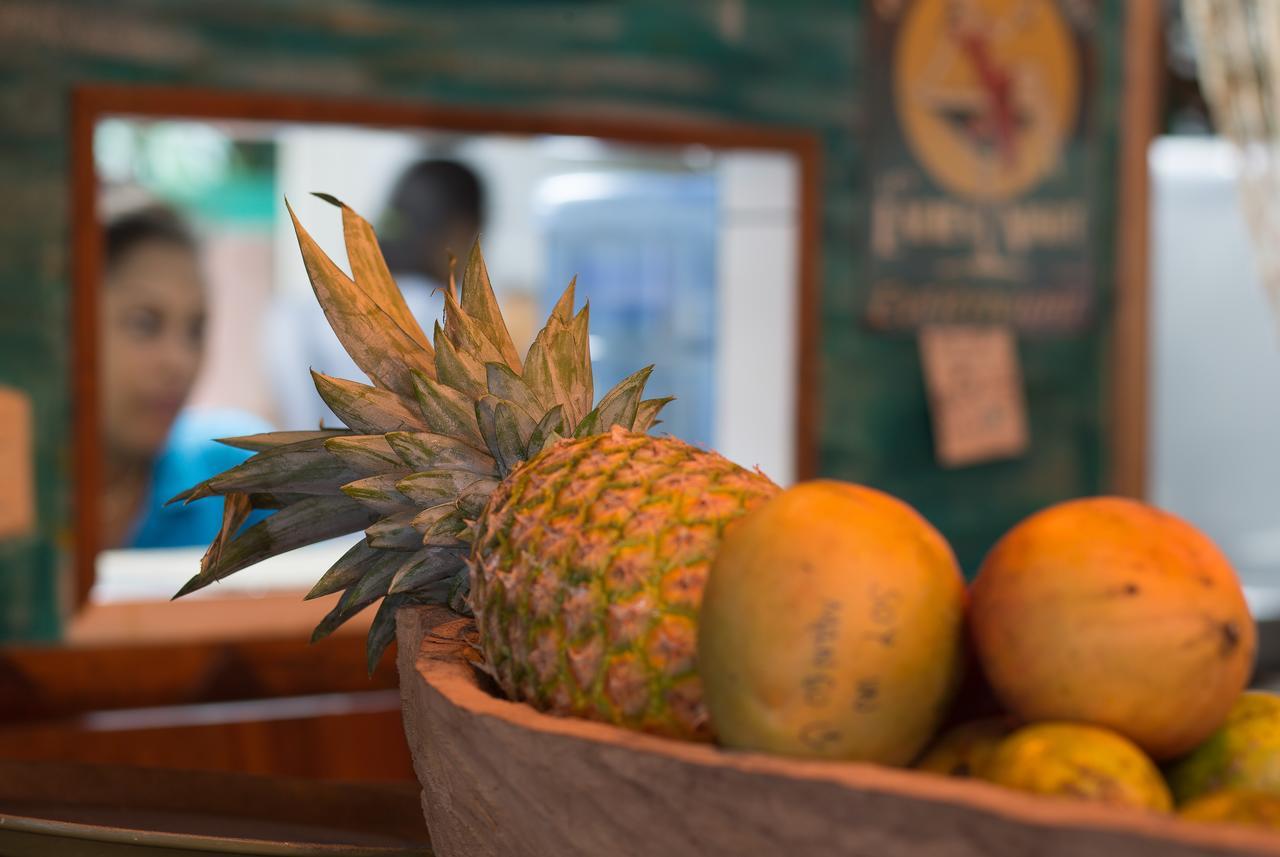 Playa 506 Beachfront Hostel Puerto Viejo de Talamanca Zewnętrze zdjęcie
