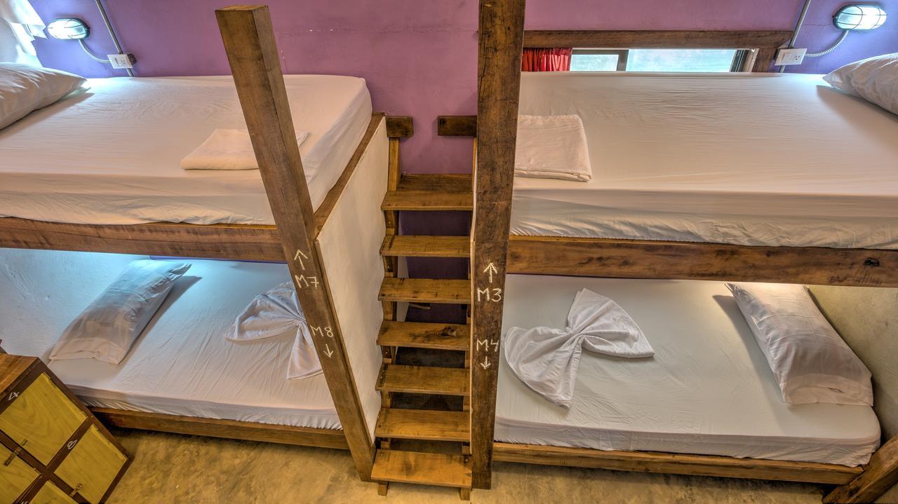 Playa 506 Beachfront Hostel Puerto Viejo de Talamanca Zewnętrze zdjęcie