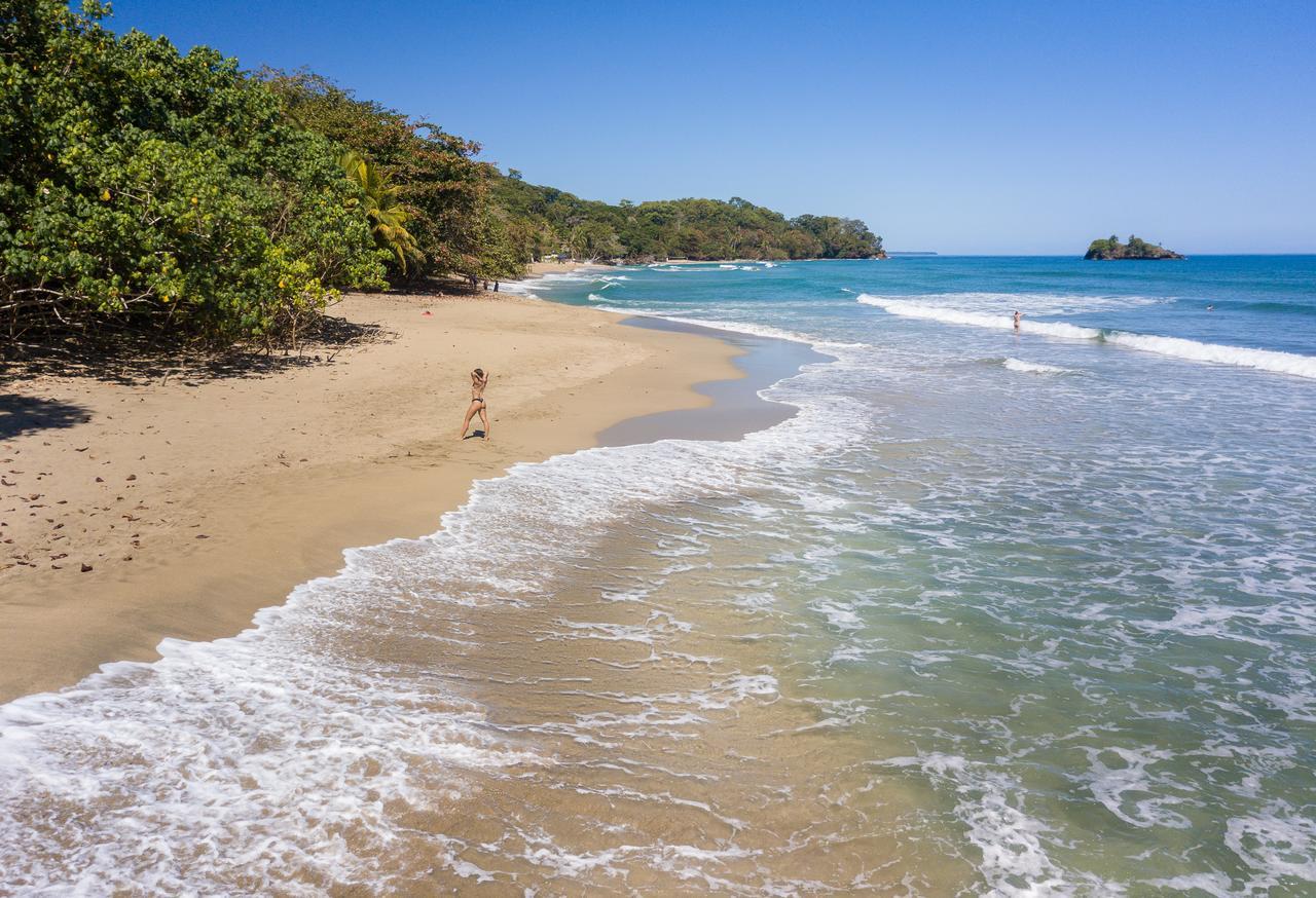 Playa 506 Beachfront Hostel Puerto Viejo de Talamanca Zewnętrze zdjęcie